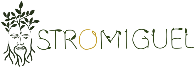Stromiguel